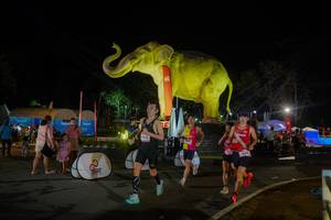 BIB: 
                            <button type="button" onclick="openModal(26552369)" class="btn btn-primary btn-sm float-right btn-popup" data-toggle="modal" data-target=".modal-high-quality">
                        <i class="fas fa-shopping-cart"></i> Add to Cart
                    </button>
                                            <button type="button" onclick="isThisMe(26552369, true)" class="btn btn-success btn-sm float-right btn-popup btn-isme hidden" data-toggle="tooltip" data-placement="bottom" title="นี่คือรูปของคุณใช่ไหม คลิกที่นี่เพื่อเอาเข้าอัลบั้ม">
                        <i class="fas fa-plus"></i> Add to album
                    </button>
                    <button type="button" onclick="isThisMe(26552369, false)" class="btn btn-warning btn-sm float-right btn-popup btn-isnotme hidden">
                        <i class="fas fa-ban"></i> Remove from album
                    </button>